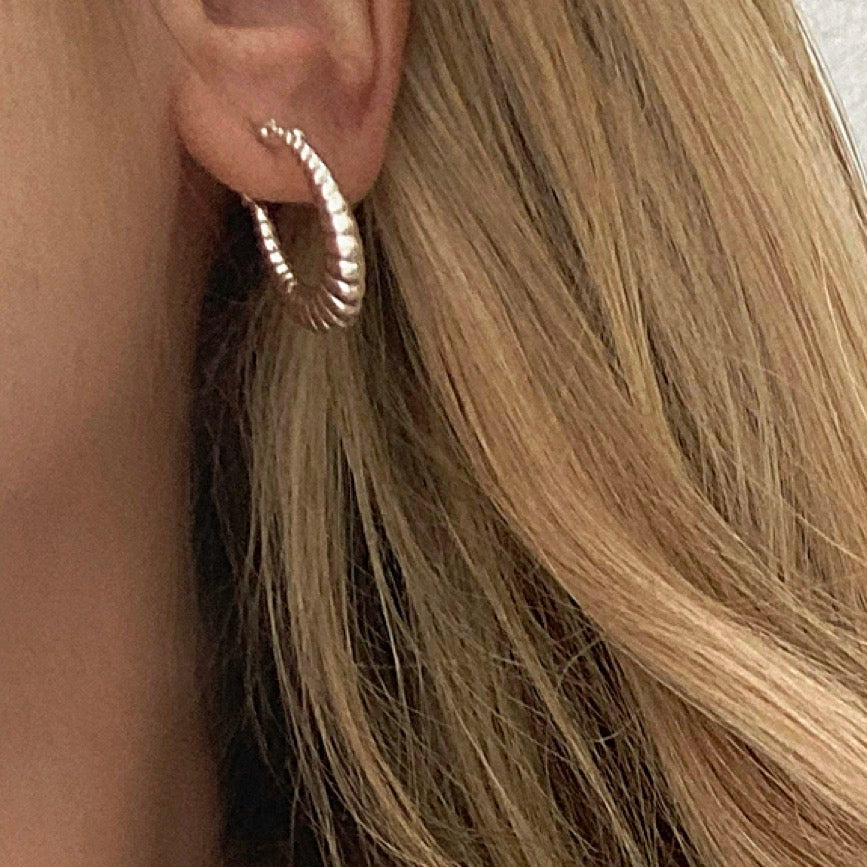 Shrimp Hoops