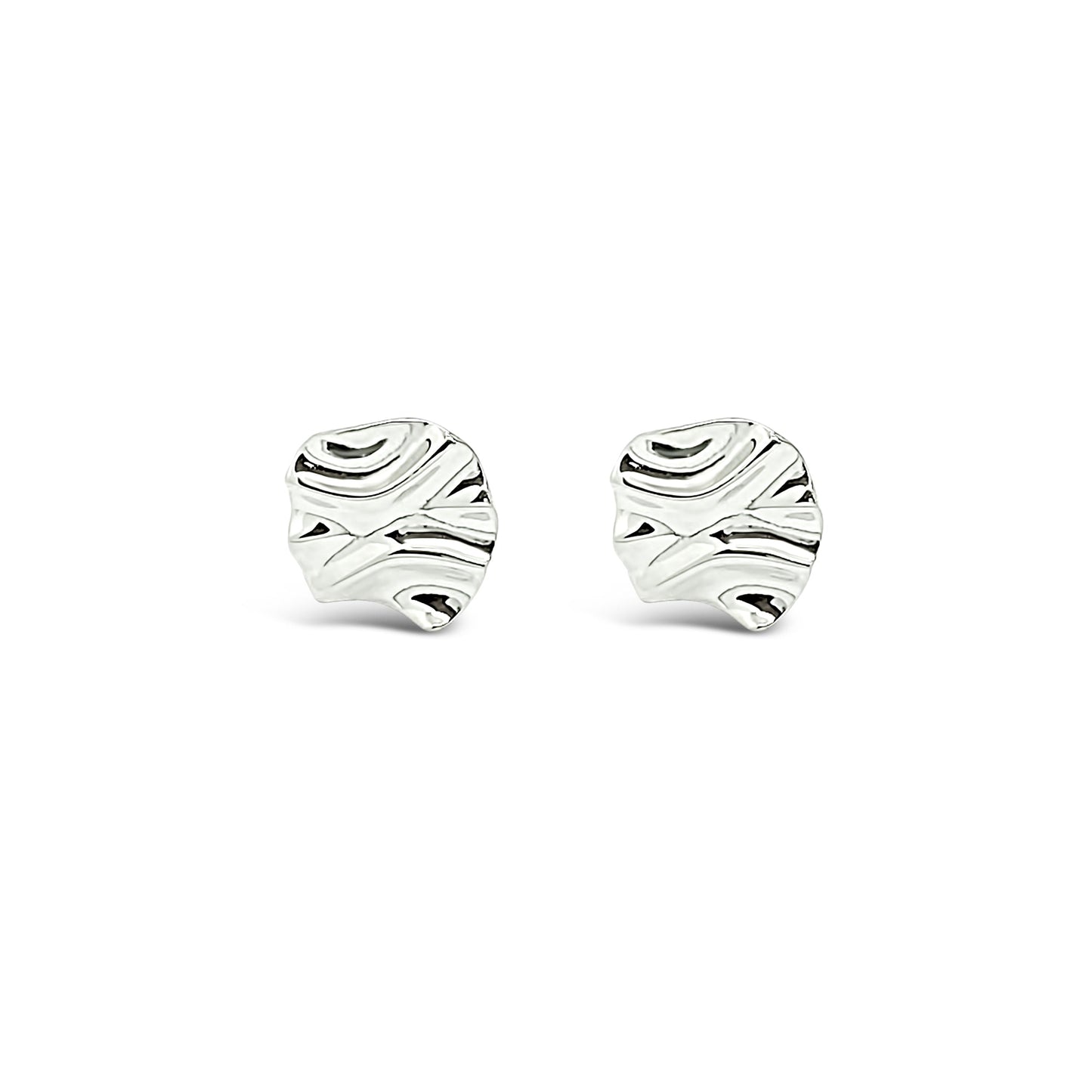 Arctic Earrings