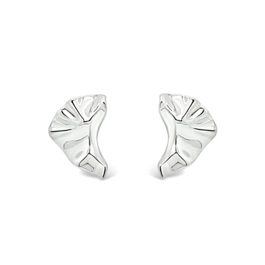 Arctic Curve Earrings