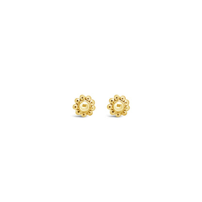 Gold Stud earrings