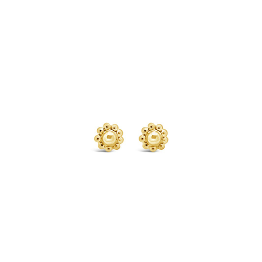 Gold Stud earrings